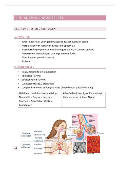 Samenvatting Anatomie Ademhalingsstelsel Anatomie Fysiologie