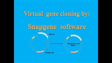 Snapgene Virtual Gene Cloning