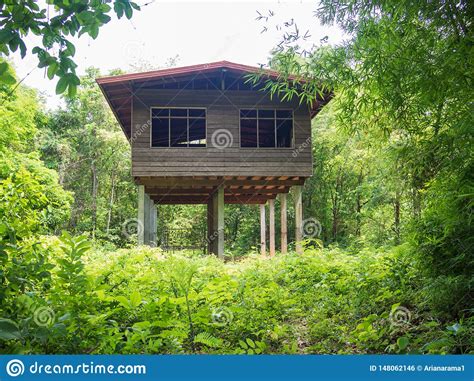 Haute Maison En Bois Dans La R Gion Sauvage Photo Stock Image Du Pays