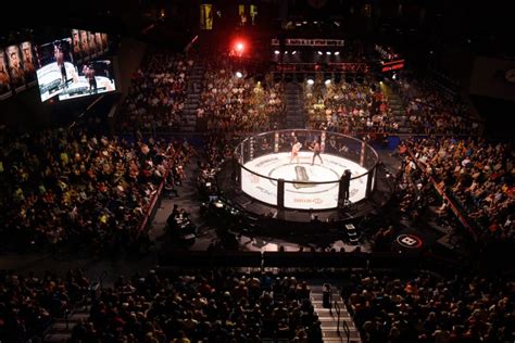 New Mma League Could Include Athlete Union And 5050 Revenue Split