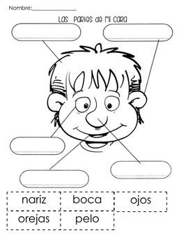 Partes Del Rostro Worksheets