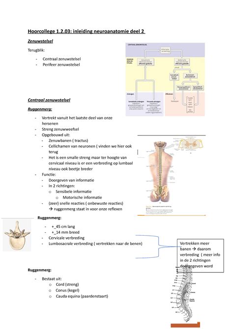 Hoorcollege Blok Hoorcollege Inleiding Neuroanatomie Deel