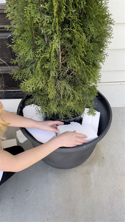 How to Fill an Outdoor Planter - Domestically Blissful