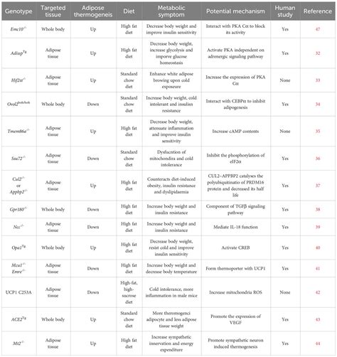 Frontiers Latest Advances In The Regulatory Genes Of Adipocyte