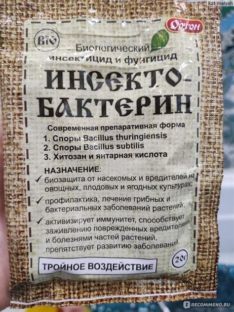 Инсектобактерин Ортон - «Естественная защита и победа над всеми жуками ...