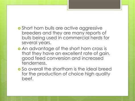 PPT - Shorthorn Cattle PowerPoint Presentation, free download - ID:2281348