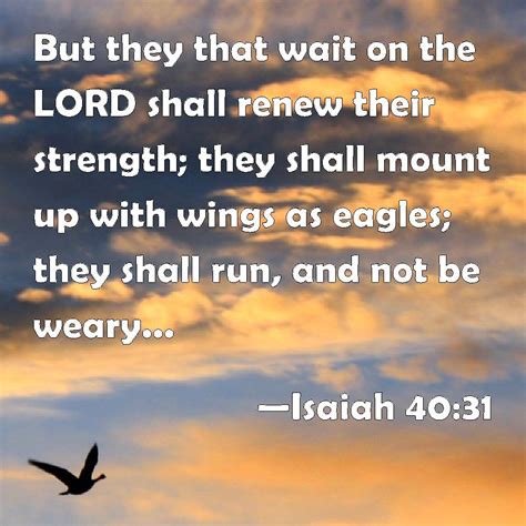 List 93 Pictures Those Who Wait On The Lord Verse Stunning