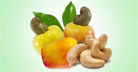 Cashew Kaju Health Benefits Of Cashew Nut And Cashew Apple Side Effects