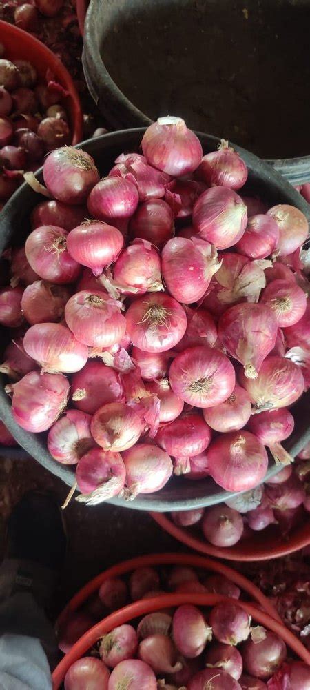 Maharashtra Dry B Grade Red Onion Loose Onion Size Available Medium