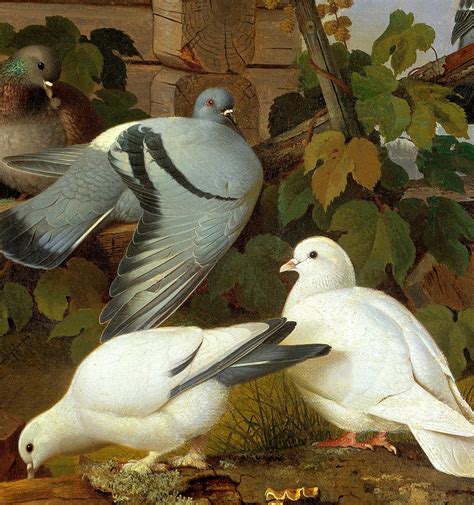 Doves Antique Doves Painting By The Artist Ferdinand Von Etsy