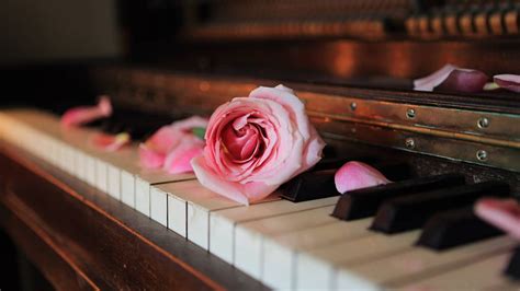 7 Of The Most Romantic Piano Pieces Ever Written Piano Discover
