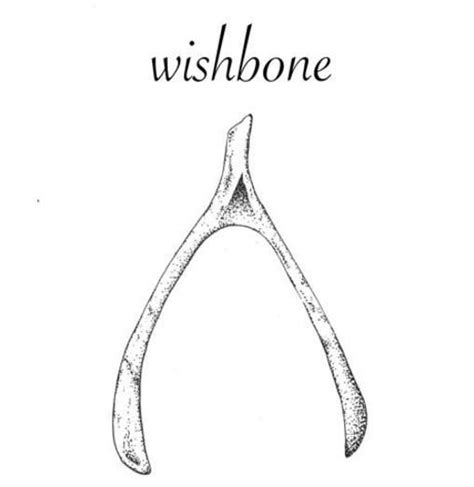 Wishbone Tattoo Designs For Men Inspiration Guide Artofit