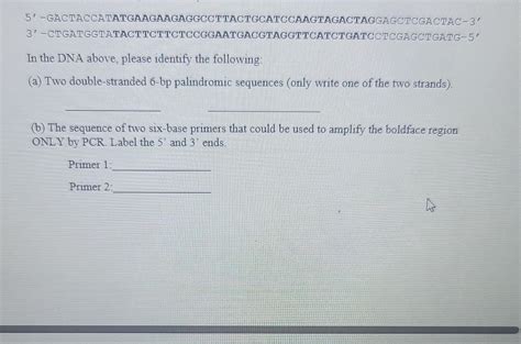 Solved 5' - | Chegg.com