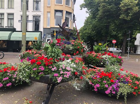 Tour The Hague - All You Need to Know BEFORE You Go