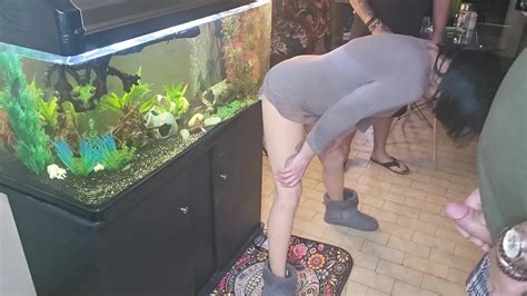 Free Dildo Fucking Porn Videos XHamster