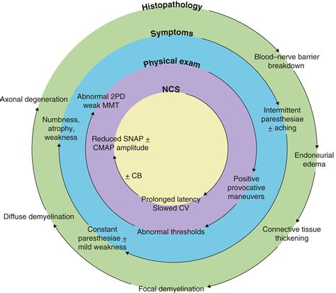 Nerve Compression - Clinical Tree