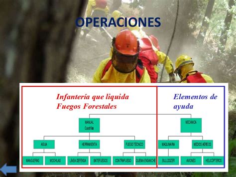 BÁsico Incendios Forestales
