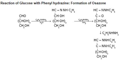 What Is Osazone Test Please Explain With The Help Of Example D1yd9w11 Chemistry