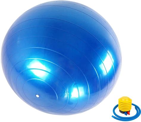 Мяч для фитнеса Newt 75 см Синий (487-626-2-B) – фото, отзывы ...