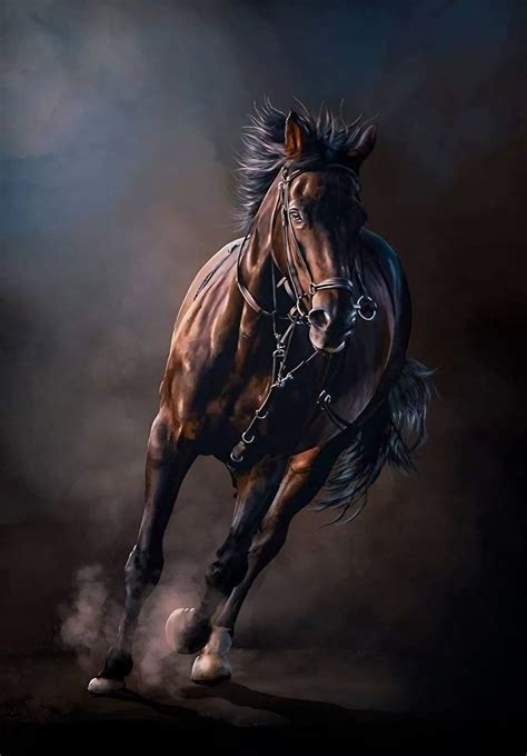 Brown Horse Wallpapers - 4k, HD Brown Horse Backgrounds on WallpaperBat