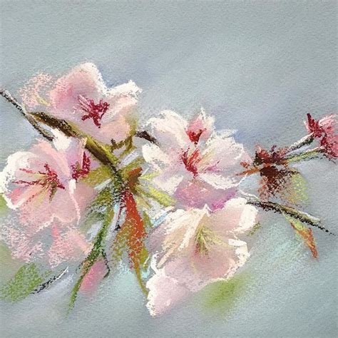 #сакура #пастель #весна #цветы #рисуемпастелью #sakura #softpastel # ...