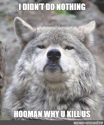 Meme I Didnt Do Nothing Hooman Why U Kill Us All Templates Meme