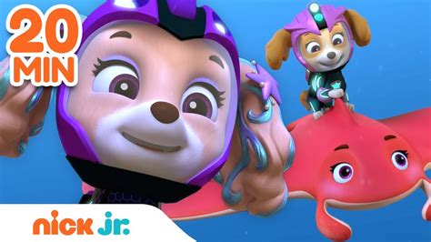 PAW Patrol Aqua Pups & Mermaid Rescues! w/ Skye & Coral | 20 Minute ...