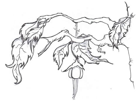 cd cover sample 9