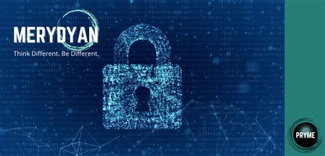 About Merydyan Technologies Llc