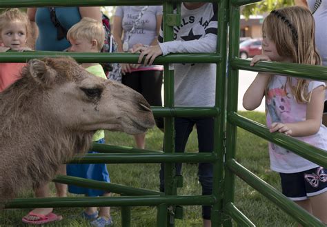 Petting Zoo — Stable Productions Exotic Animal Ranch