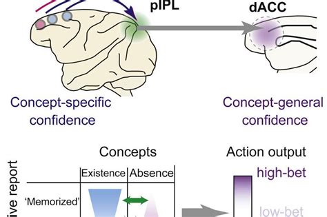 Brain Activity In Sex Addiction Mirrors That Of Drug Addiction Neuroscience News