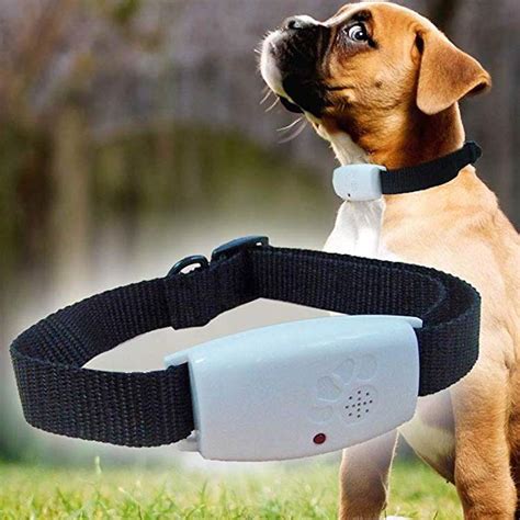 How Far Can A Dog Hear A Dog Whistle