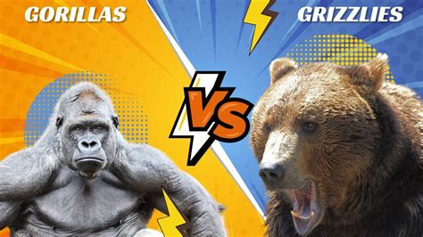 Ultimate Showdown Gorillas Vs Grizzlies Who Is The True Strongman Of