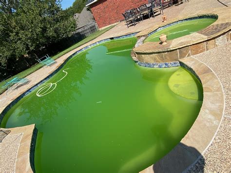 Services And Maintenance Sky Blue Pools