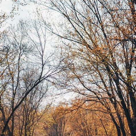 Hok-Si-La City Park & Campground | Lake City, Minnesota