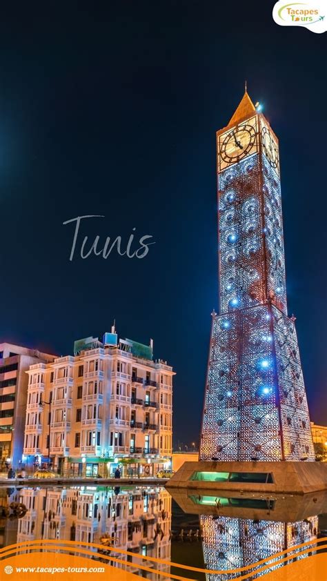 Tunis & Carthage Coast Private Tour in 2024 | Carthage tunisia, Tunis, Tunisia