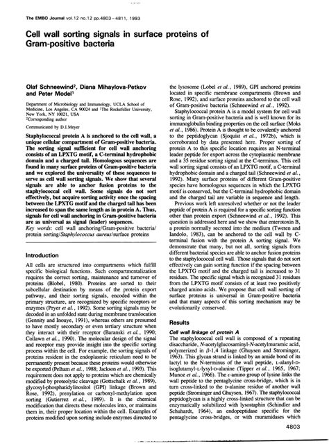 Pdf Cell Wall Sorting Signal In Surface Proteins Of Gram Positive