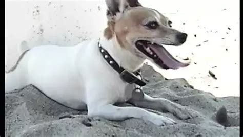 Babewatch Full Original Movie Uncut American Hardcore Porn XHamster