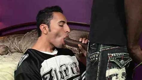 Gianni Luca Gay Porn Videos Porn Star Sex Scenes Xhamster