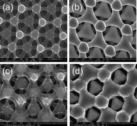 Sem Images Of 3d Amorphous Carbon A And 3d Graphene C Structures