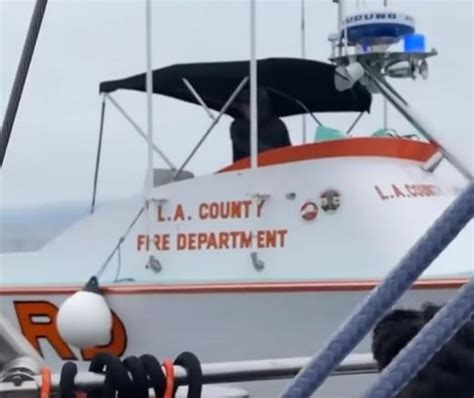 Dolphins Lead Boat To Nude Woman Floating 3 Miles Offshore