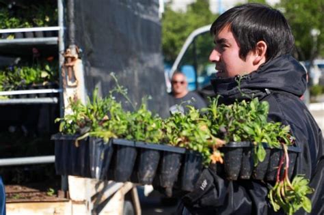 El Municipio De R O Grande Agreg Una Nueva Jornada Para La Entrega De