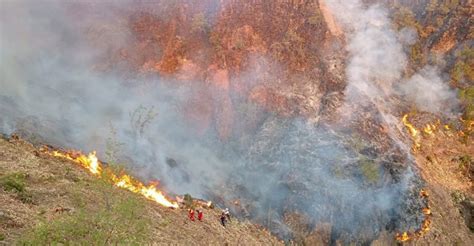 Piden Declarar En Emergencia Agropecuaria Por Incendios Forestales En Cusco