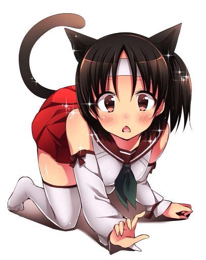 Neko Girls With Cat Lingeries Anime Amino