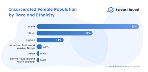 100 Incarceration Statistics For 2022 Screen And Reveal