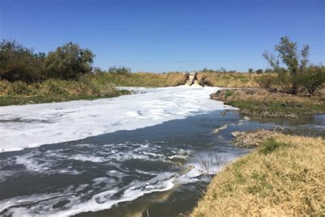 Los Desafíos Ambientales De México En 2022 Simeam