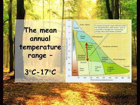 Deciduous Forest Weather And Climate : FOSS Weather: Climate Region ...