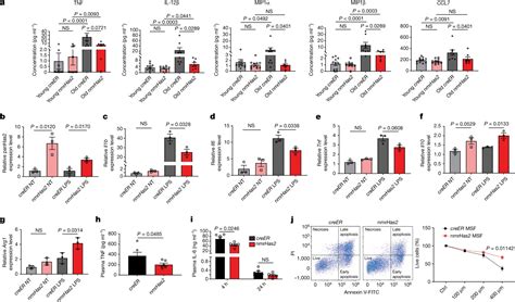 Increased Hyaluronan By Naked Mole Rat HAS2 Improves Healthspan In Mice PMC