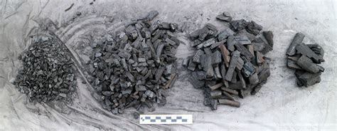 Review Of Fire And Flavor Hardwood Lump Naked Whiz Ceramic Charcoal Cooking