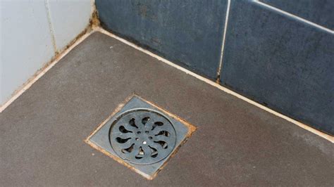 What To Know About Your Basement Floor Drain